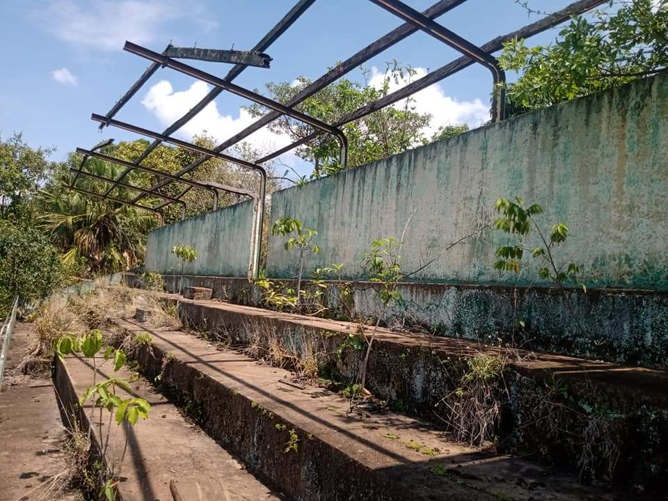 Foto 7 de 12 — Moradores reclamaram do abandono de antigo campo de futebol, na Vila Xavier